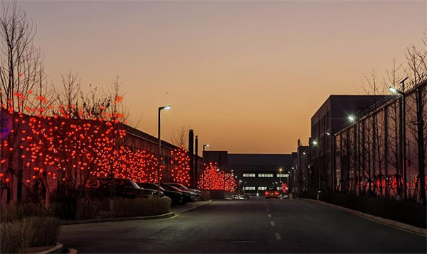 张灯结彩迎新年 亮化妆扮美园区